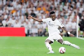 家们对他们 家们对他们